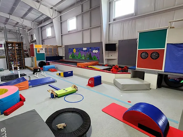 ফিটনেস নরম প্যাকেজিং অ্যাপ্লিকেশন